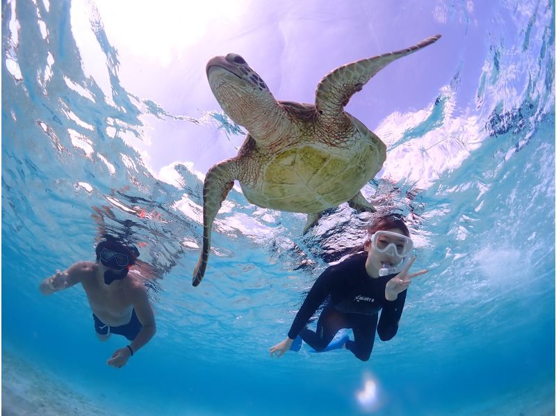 Miyakojima/Fully private, no life jacket required! 《100% encounter rate continues!》 Even closer [Sea turtle snorkeling] ★ Same-day reservations accepted!の紹介画像