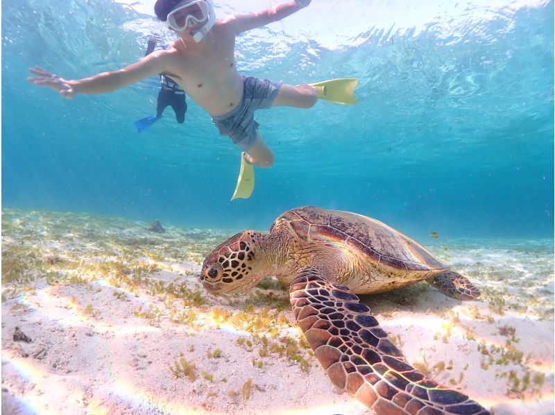 Miyakojima/Fully private, no life jacket required! 《100% encounter rate continues!》 Even closer [Sea turtle snorkeling] ★ Same-day reservations accepted!の紹介画像