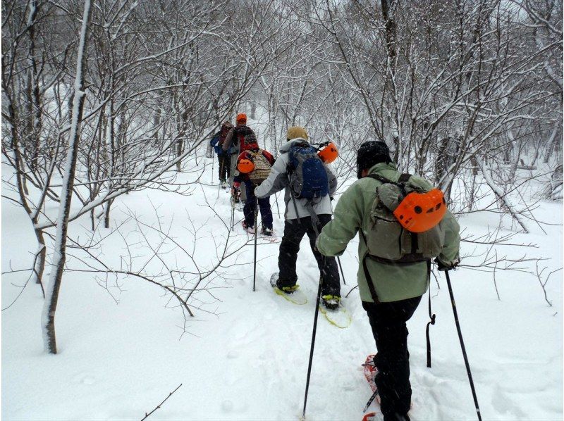 【福島・飯坂温泉】廃トンネルにできる氷の神殿を目指すスノーハイクの紹介画像
