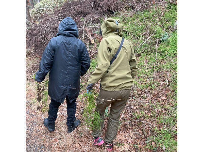 【岐阜県・八百津町】～木が切られて商品になるまで～【山歩きとプチ蒸留体験】の紹介画像