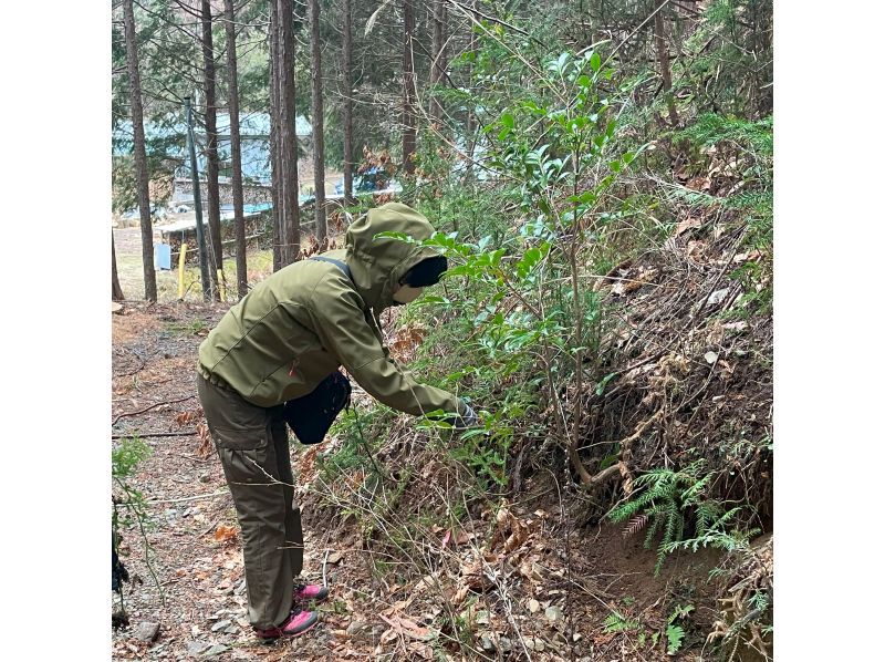 【岐阜県・八百津町】～木が切られて商品になるまで～【山歩きとプチ蒸留体験】