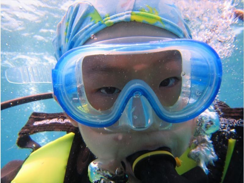 [冲绳石垣岛]第一次没关系！在“石垣岛”的海域体验潜水（半天课程）の紹介画像