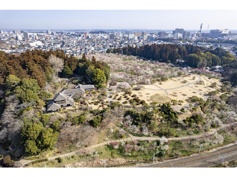 [Japan's Three Most Famous Gardens] Illumination Event "Kairakuen UME The Lights" Ticket Reservation (Ibaraki Mito)の紹介画像