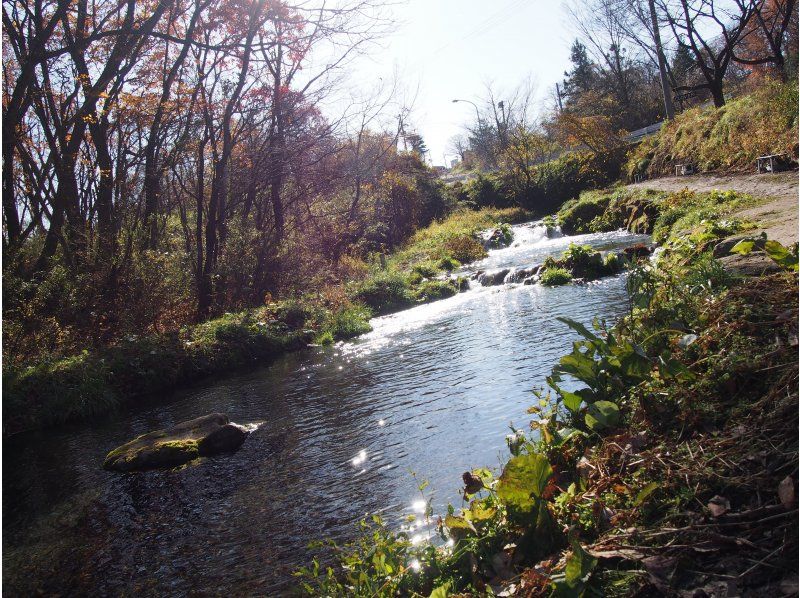 [Miyagi, Shiroishi/Zao] Fishing Pond Cafe Clover "Eat Plan"の紹介画像