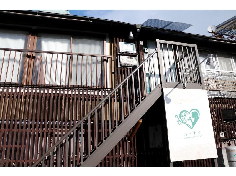 [Oita/Beppu] Recover from the fatigue of your travels ☆ "Refresh & Recovery Enzyme Bath + Foot Reflexology + Dry Head Spa Experience Plan" 5 minutes walk from Beppu Station.の紹介画像