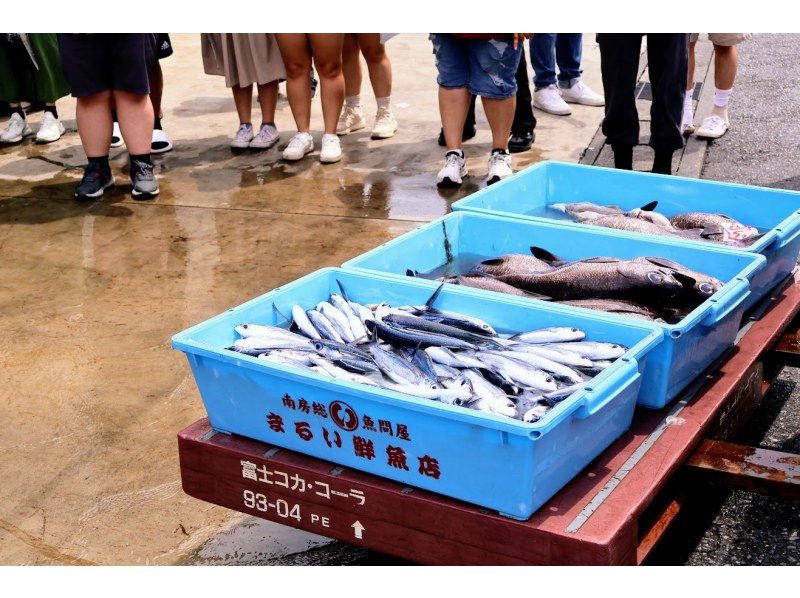 【千葉・館山】地元鮮魚店の貸切個室で特別ランチと崖観音＆漁港のまちガイドツアー！（市内ホテル送迎付き）の紹介画像