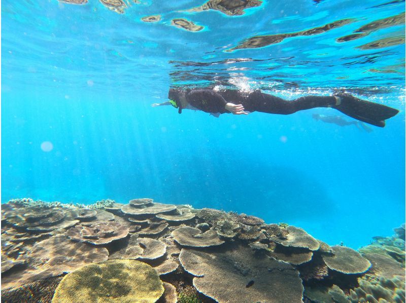 【今帰仁村、美ら海水族館近く、古宇利島】ガイドおすすめ絶景ポイントでビーチエントリーシュノーケリング♪の紹介画像