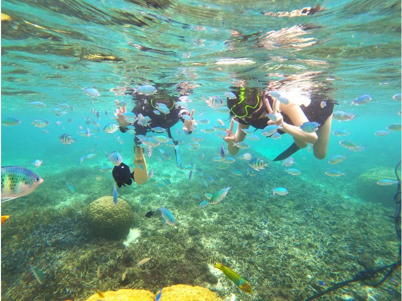 【今帰仁村、美ら海水族館近く、古宇利島】ガイドおすすめ絶景ポイントでビーチエントリーシュノーケリング♪の紹介画像