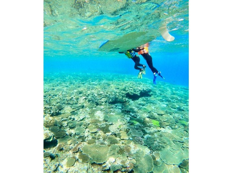 【今帰仁村、美ら海水族館近く、古宇利島】ガイドおすすめ絶景ポイントでビーチエントリーシュノーケリング♪の紹介画像