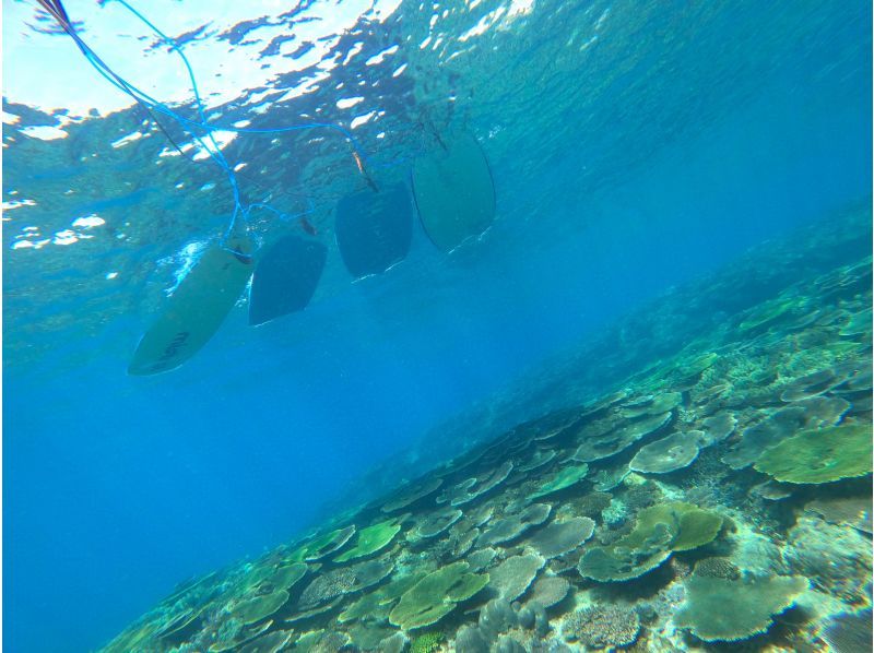 【今帰仁村、美ら海水族館近く、古宇利島】ガイドおすすめ絶景ポイントでビーチエントリーシュノーケリング♪の紹介画像