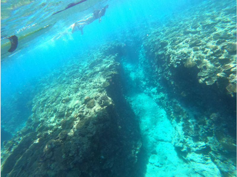 【今帰仁村、美ら海水族館近く、古宇利島】ガイドおすすめ絶景ポイントでビーチエントリーシュノーケリング♪の紹介画像