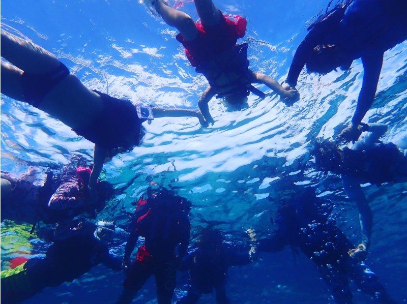 【今帰仁村、美ら海水族館近く、古宇利島】ガイドおすすめ絶景ポイントでビーチエントリーシュノーケリング♪の紹介画像