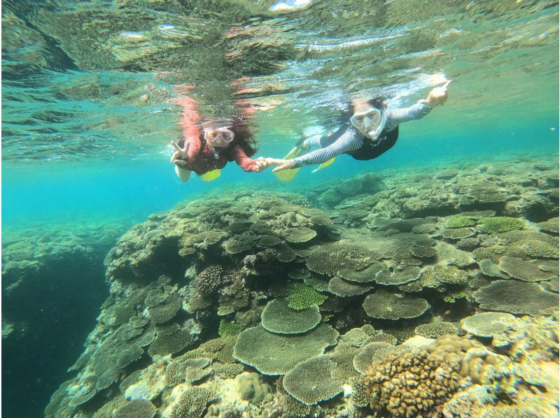 【今帰仁村、美ら海水族館近く、古宇利島】ガイドおすすめ絶景ポイントでビーチエントリーシュノーケリング♪の紹介画像