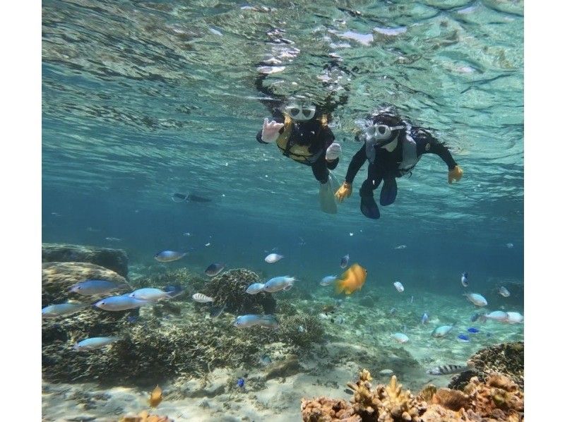 【沖縄・那覇・糸満】専属ガイド1組貸切で安心！ウミガメやカラフル熱帯魚が楽しめるジョン万ビーチでのシュノーケル！ 写真データ＆餌やり無料の紹介画像