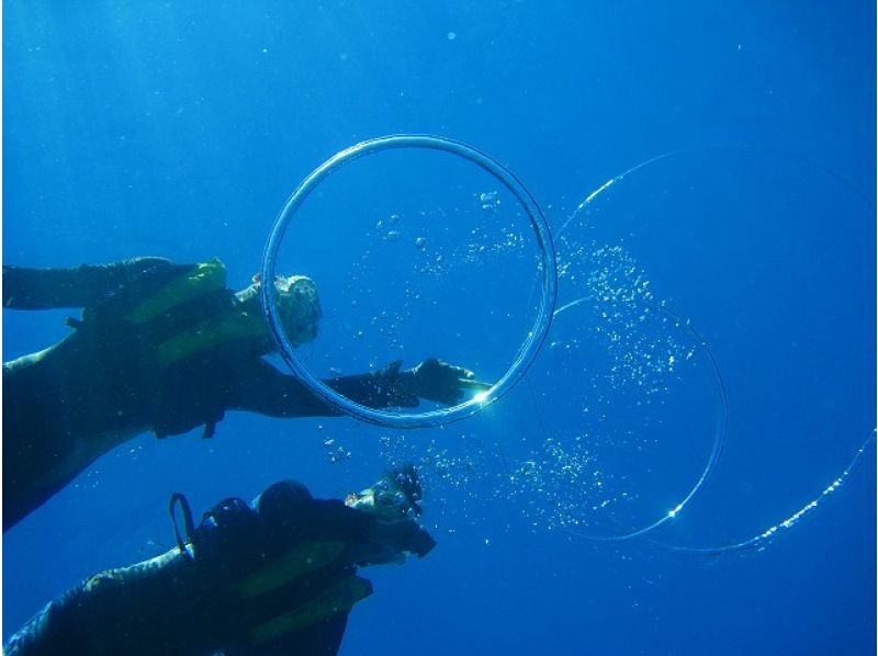 【沖縄・那覇・糸満】専属ガイド1組貸切で安心！ウミガメやカラフル熱帯魚が楽しめるジョン万ビーチでのシュノーケル！ 写真データ＆餌やり無料の紹介画像