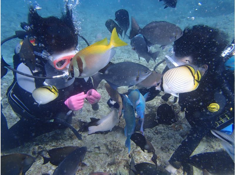 【沖縄・那覇・糸満】 大度浜海岸（ジョン万ビーチ）ビーチ体験ダイビングツアー♪　写真、魚のエサ無料の紹介画像