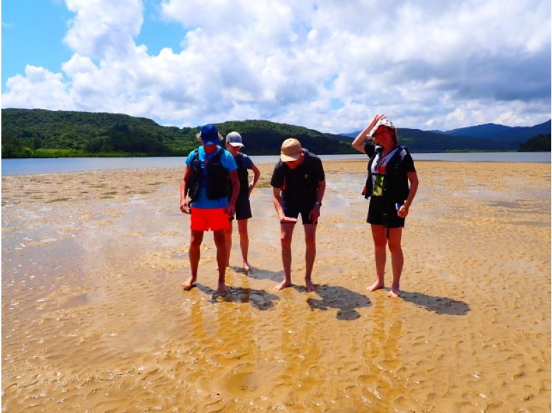 [Okinawa, Iriomote Island] For beginners! Urauchi River Mangrove Kayak Tour + Barasu Island Snorkeling Tourの紹介画像