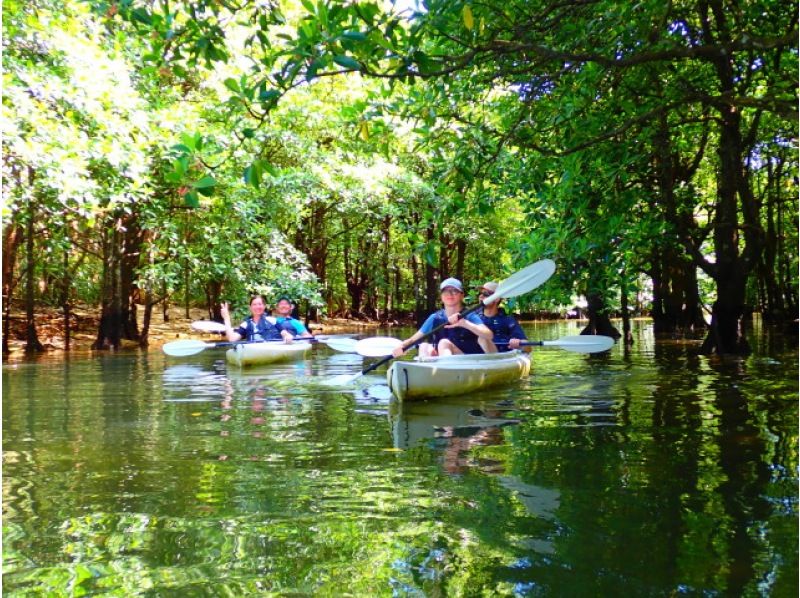 [Okinawa, Iriomote Island] For beginners! Urauchi River Mangrove Kayak Tour + Barasu Island Snorkeling Tourの紹介画像