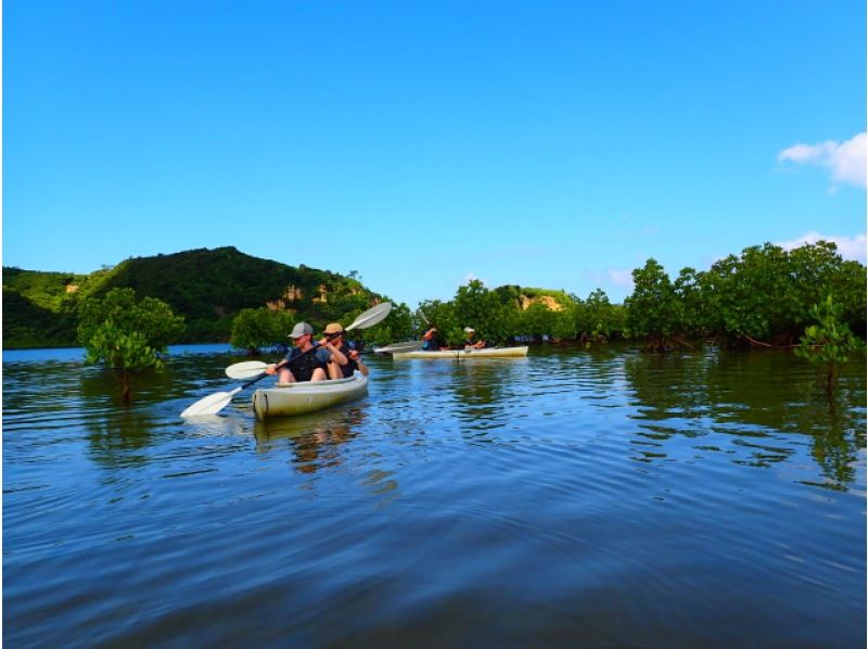 [Okinawa, Iriomote Island] For beginners! Urauchi River Mangrove Kayak Tour + Barasu Island Snorkeling Tourの紹介画像