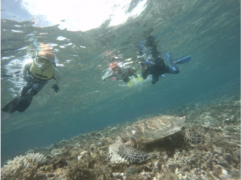 [Okinawa, Iriomote Island] For beginners! Urauchi River Mangrove Kayak Tour + Barasu Island Snorkeling Tourの紹介画像