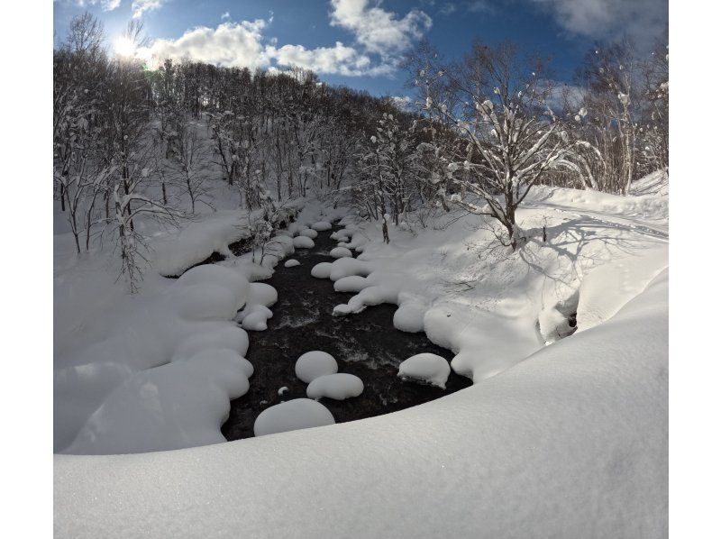 [Niseko Snowshoeing] Explore the snowy forests of Niseko on snowshoes. Enjoy the fantastic scenery that only a snowy country can offer!の紹介画像