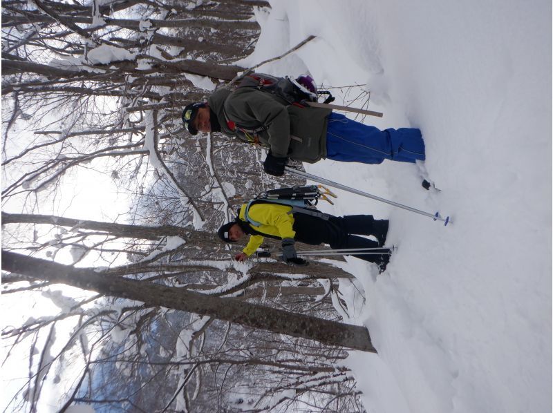 [Niseko Snowshoeing] Explore the snowy forests of Niseko on snowshoes. Enjoy the fantastic scenery that only a snowy country can offer!の紹介画像