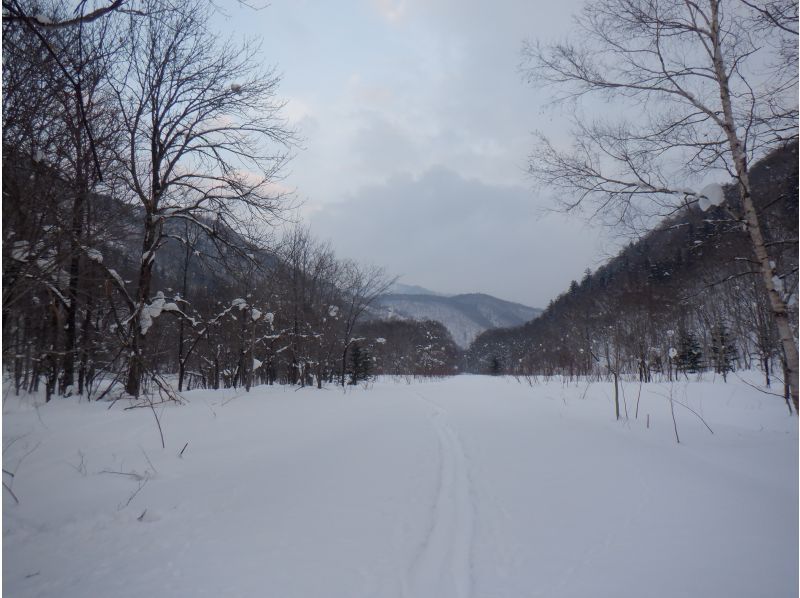 [Niseko Snowshoeing] Explore the snowy forests of Niseko on snowshoes. Enjoy the fantastic scenery that only a snowy country can offer!の紹介画像