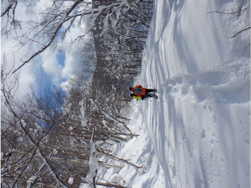 [Niseko Snowshoeing] Explore the snowy forests of Niseko on snowshoes. Enjoy the fantastic scenery that only a snowy country can offer!の紹介画像