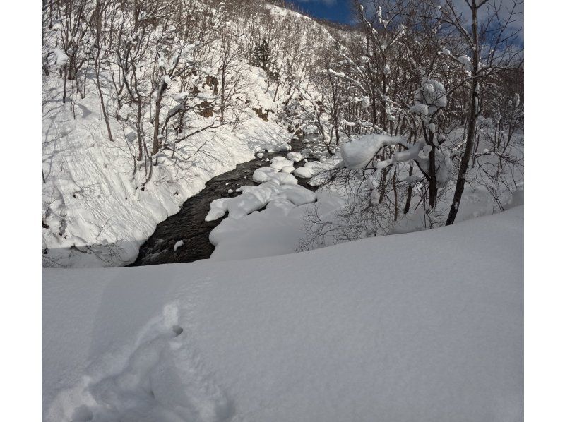 [Niseko Snowshoeing] Explore the snowy forests of Niseko on snowshoes. Enjoy the fantastic scenery that only a snowy country can offer!の紹介画像