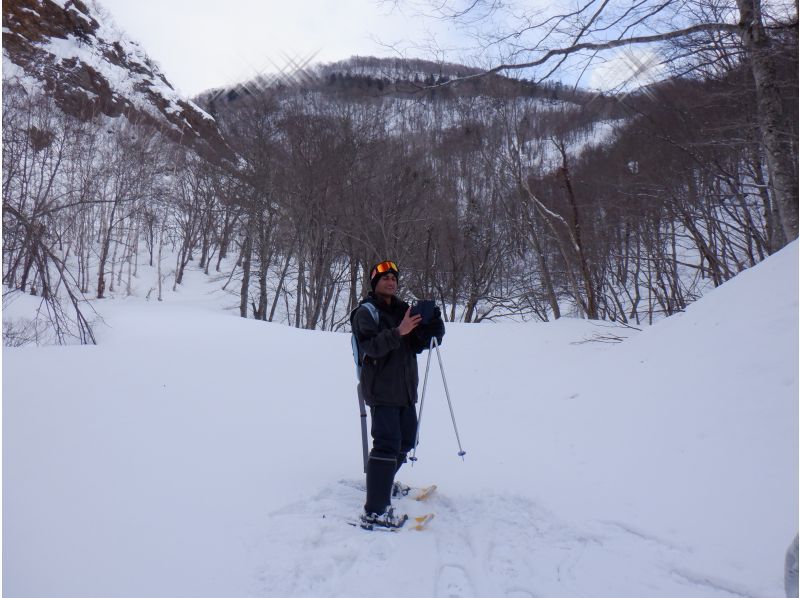 [Niseko Snowshoeing] Explore the snowy forests of Niseko on snowshoes. Enjoy the fantastic scenery that only a snowy country can offer!の紹介画像
