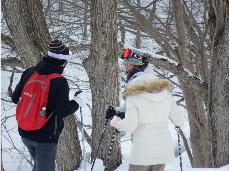 [Niseko Snowshoeing] Explore the snowy forests of Niseko on snowshoes. Enjoy the fantastic scenery that only a snowy country can offer!の紹介画像