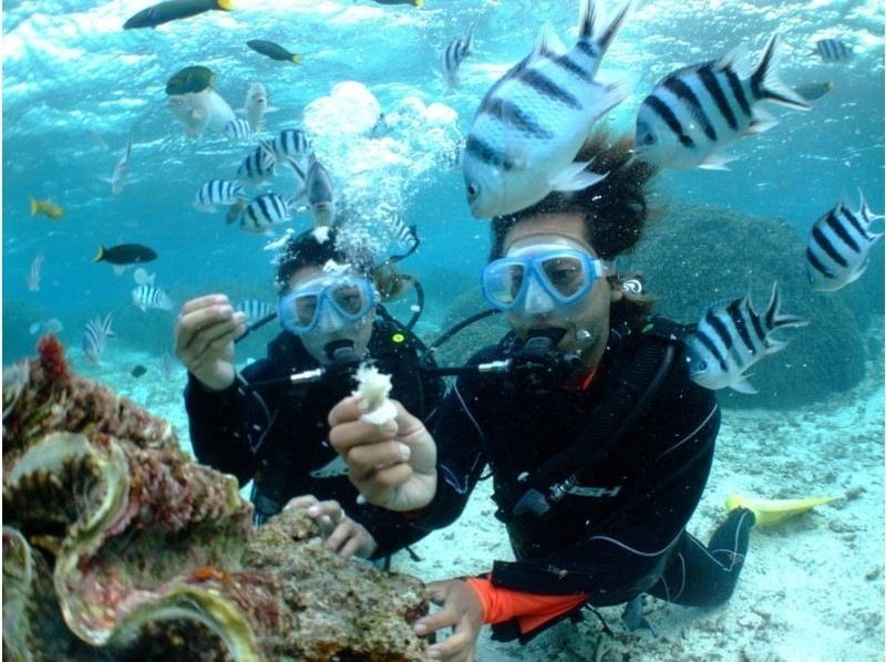 แผนท่องเที่ยวรับปริญญาสำหรับทุกคน [Okinawa Blue Cave] สัมผัสประสบการณ์การดำน้ำด้วยเรือ! รวมโบนัสฟรี 8 รายการの紹介画像