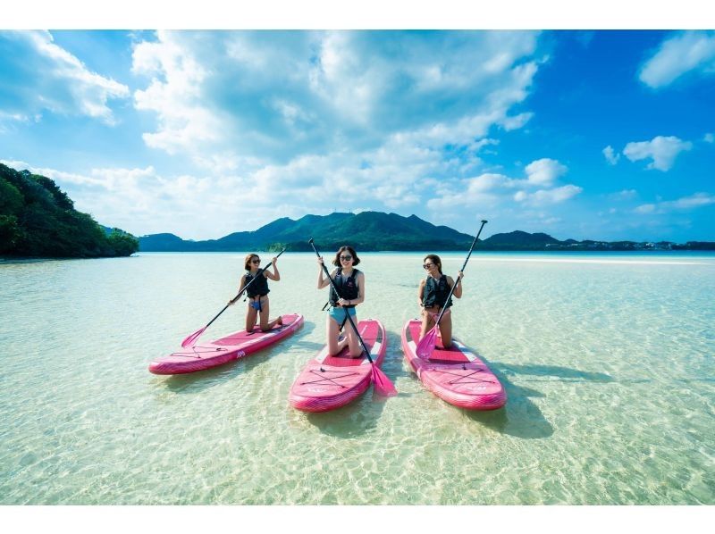 ★学割★【絶景！ 川平湾SUP】真っ白な砂浜の川平湾を堪能★石垣島NO,1絶景スポット【業界最安値】家族割★当日OK・送迎・機材・写真無料！の紹介画像