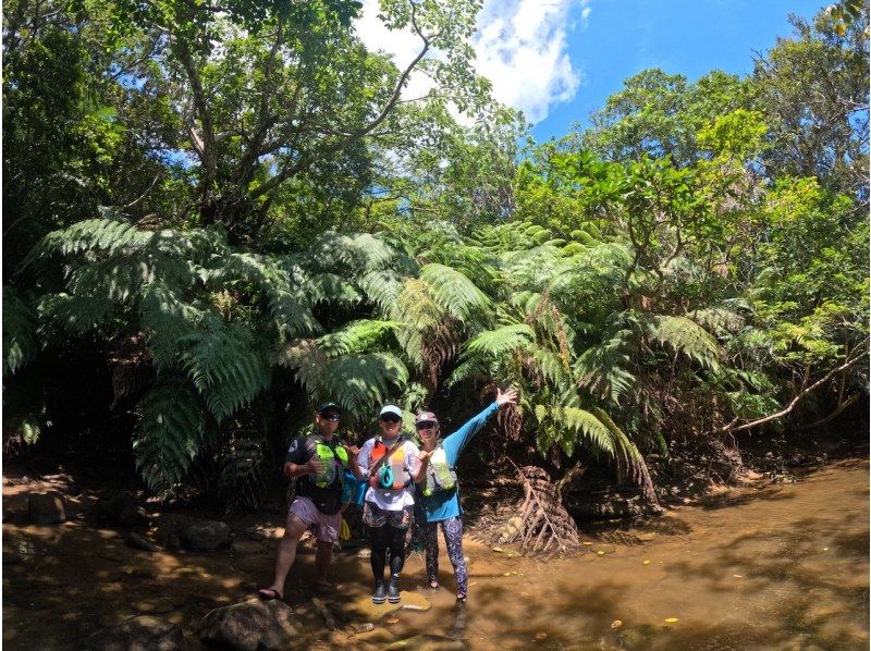 【西表島／１日】世界自然遺産を贅沢に〜SUP 1日貸切/プライベートツアー♪の紹介画像