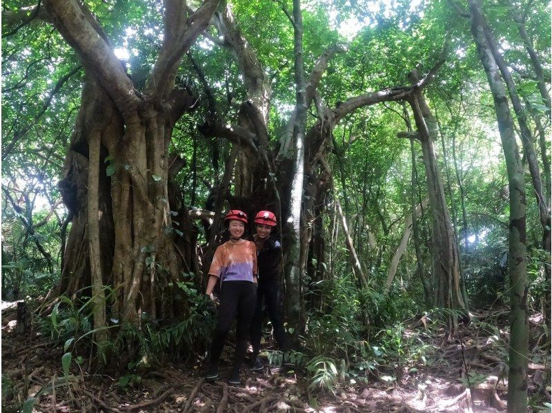 【西表島／１日】世界自然遺産を贅沢に〜SUP 1日貸切/プライベートツアー♪の紹介画像