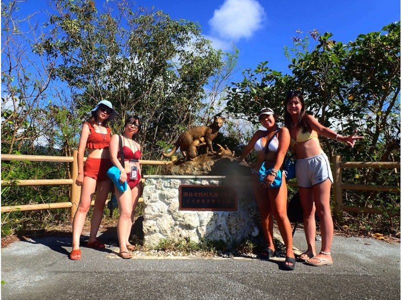 【西表島／１日】世界自然遺産を贅沢に〜SUP 1日貸切/プライベートツアー♪の紹介画像