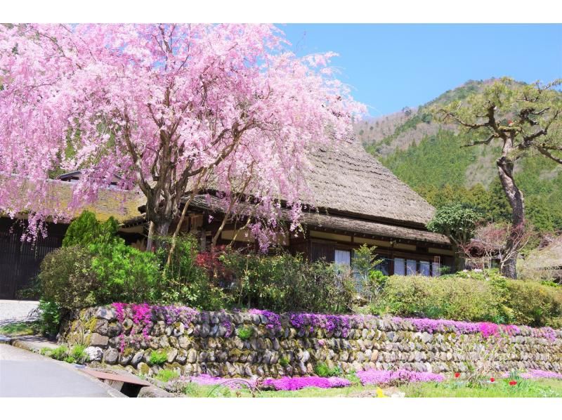 【京都＆美山日帰り旅行】金閣寺・嵐山・伏見エリア＆美山かやぶきの里散策 ※日本語、英語、中国語対応 （大阪から毎日出発）の紹介画像