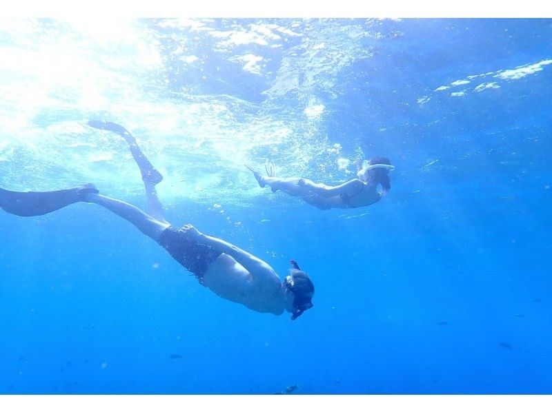 [Departing from Ginowan Marina, Okinawa] Fully-private boat charter [Skin diving, skin diving, off the west coast, 2-hour course] Popular with families and groups!の紹介画像