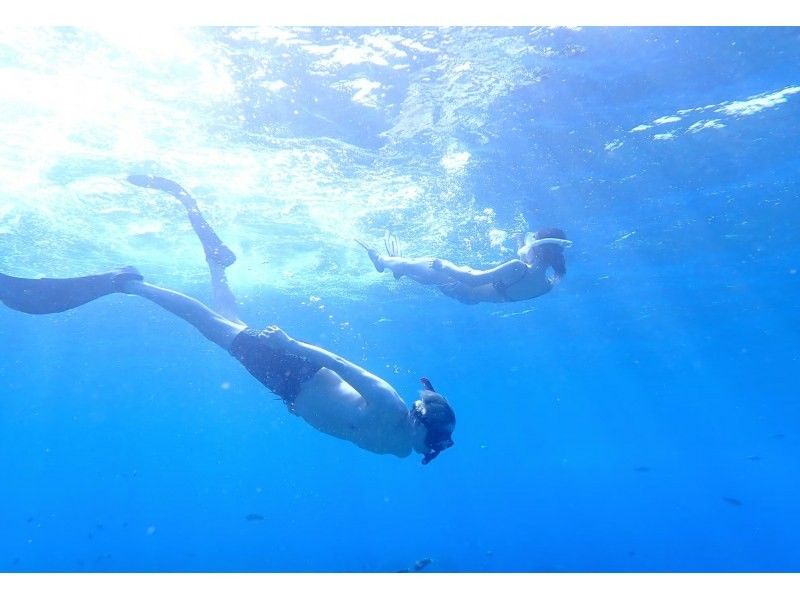 [Departing from Ginowan Marina, Okinawa] Fully-private boat charter [Skin diving, Kerama Chibishi, 3.5-hour course] Popular with families and groups!の紹介画像