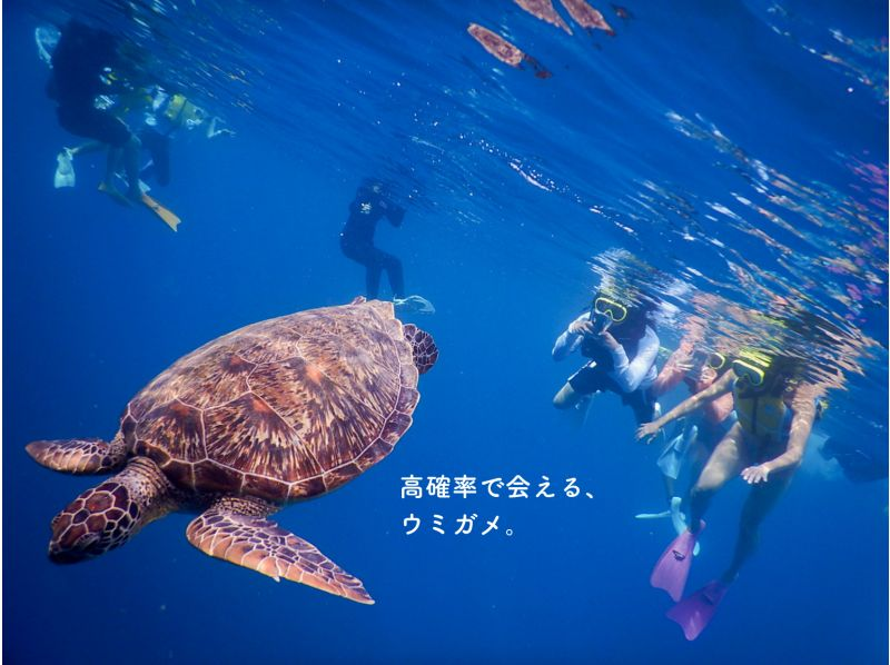 [Ishigaki Island, Sea Turtles, Nemo / About 3 hours] Phantom Island + Trial Diving ☆ Free Equipment ★ Empty-handed OK!の紹介画像