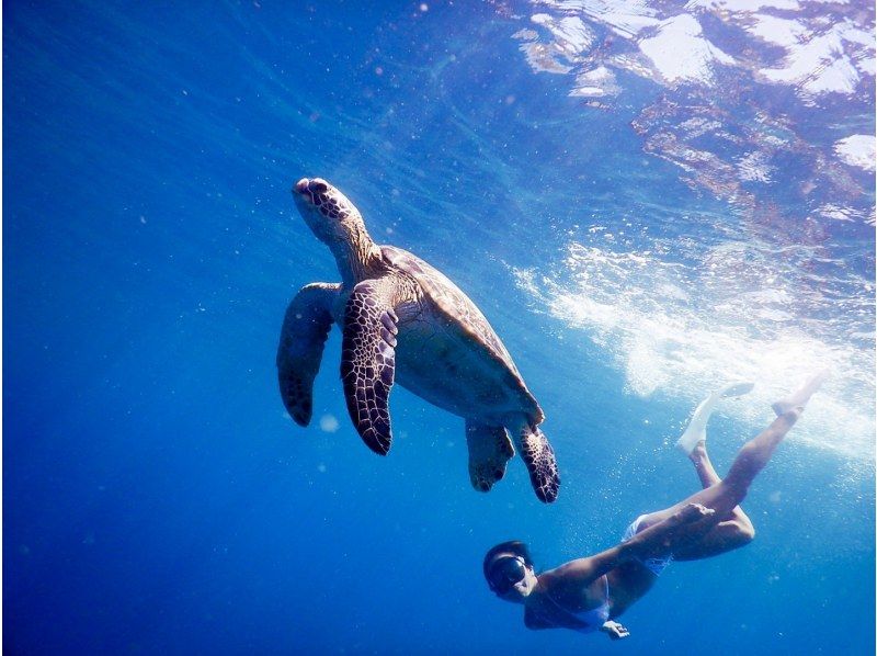 [Ishigaki Island, Sea Turtles, Nemo / About 3 hours] Phantom Island + Trial Diving ☆ Free Equipment ★ Empty-handed OK!の紹介画像