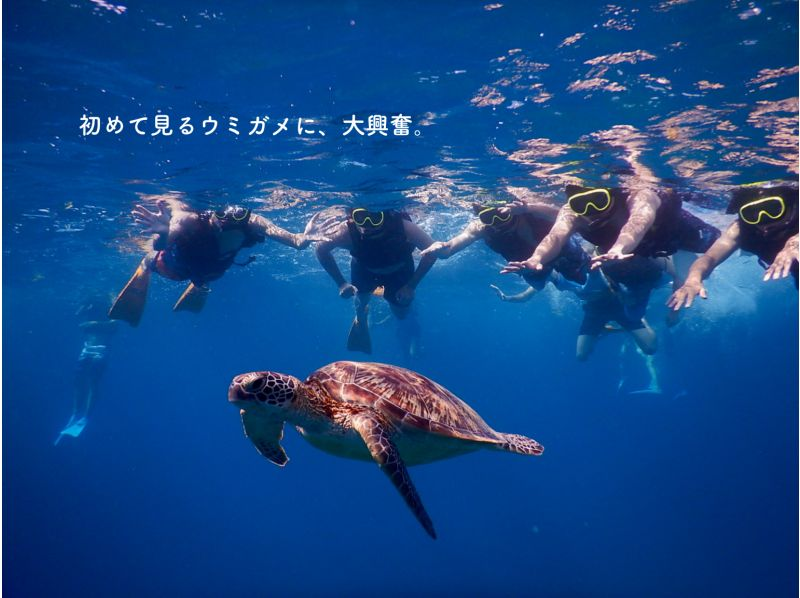 [Ishigaki Island, Sea Turtles, Nemo / About 3 hours] Phantom Island + Trial Diving ☆ Free Equipment ★ Empty-handed OK!の紹介画像