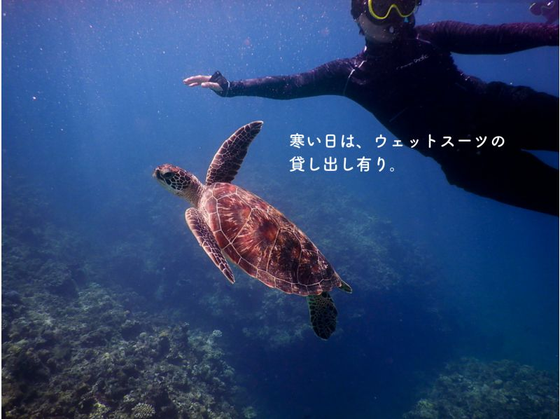 [石垣岛，海龟，尼莫/约3小时]幻影岛+试潜☆免费装备★空手可得！の紹介画像