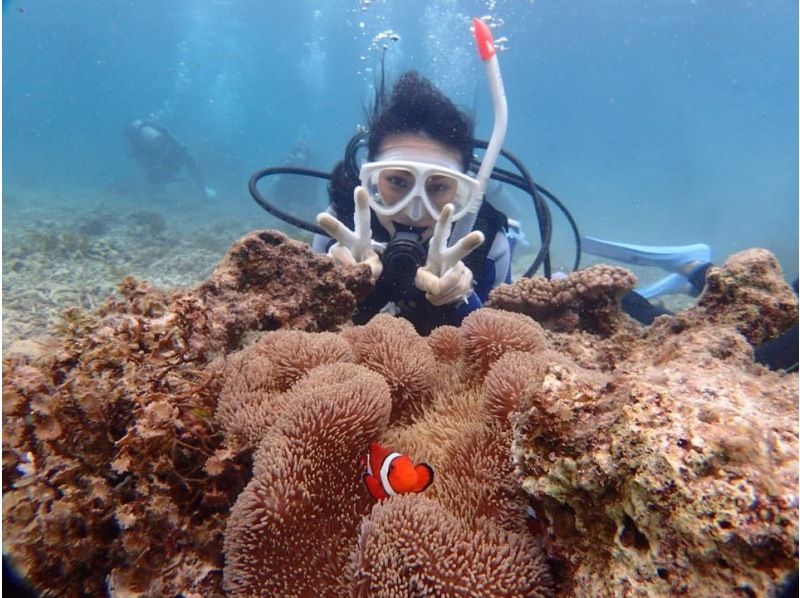 【沖縄・石垣島】透明度抜群の石垣島でPADIオープンウォーターダイバー取得！完全少人数制！2,5日でダイバーに！の紹介画像