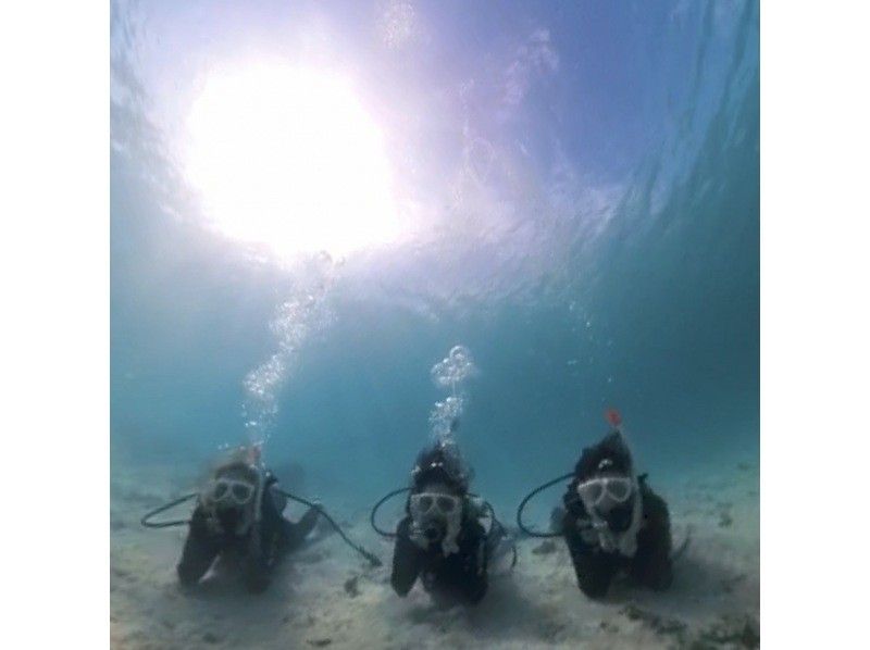 【沖縄・石垣島】透明度抜群の石垣島でPADIオープンウォーターダイバー取得！完全少人数制！2,5日でダイバーに！の紹介画像