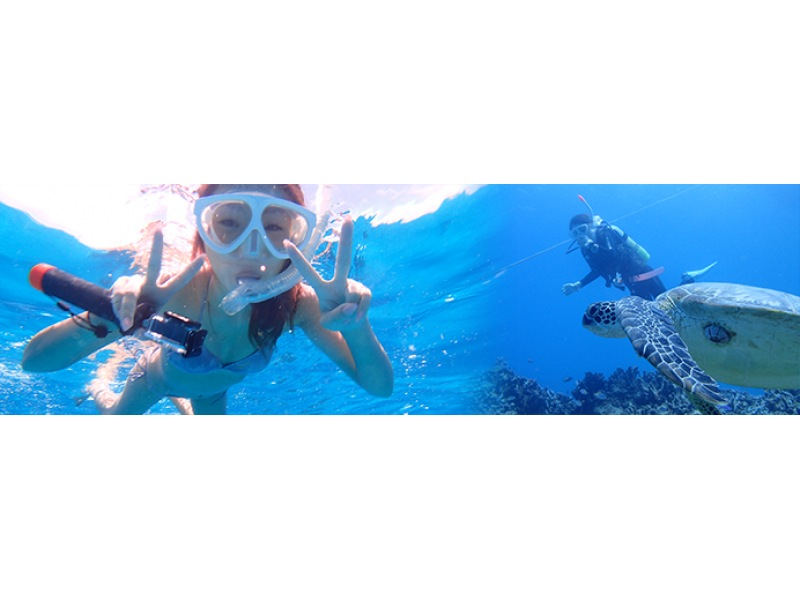 【沖縄・石垣島】透明度抜群の石垣島でPADIオープンウォーターダイバー取得！完全少人数制！2,5日でダイバーに！の紹介画像