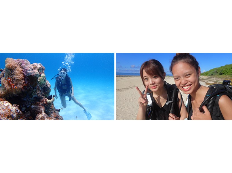 【沖縄・石垣島】透明度抜群の石垣島でPADIオープンウォーターダイバー取得！完全少人数制！2,5日でダイバーに！の紹介画像