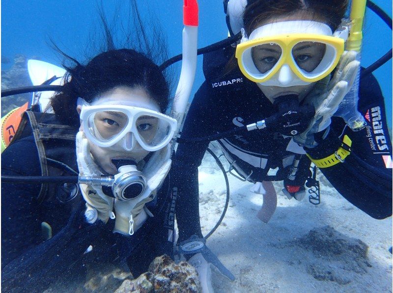 【沖縄・石垣島】透明度抜群の石垣島でPADIオープンウォーターダイバー取得！完全少人数制！2,5日でダイバーに！の紹介画像