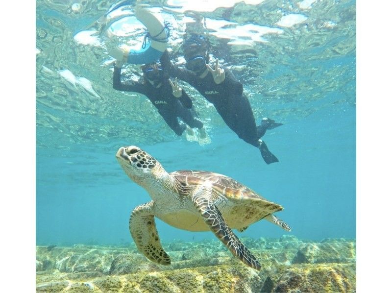 ★宮古島・シギラリゾート近く★午前ツアー！ウミガメやカラフルなお魚が沢山な大人気わいわいビーチシュノーケリング★写真データ無料★の紹介画像