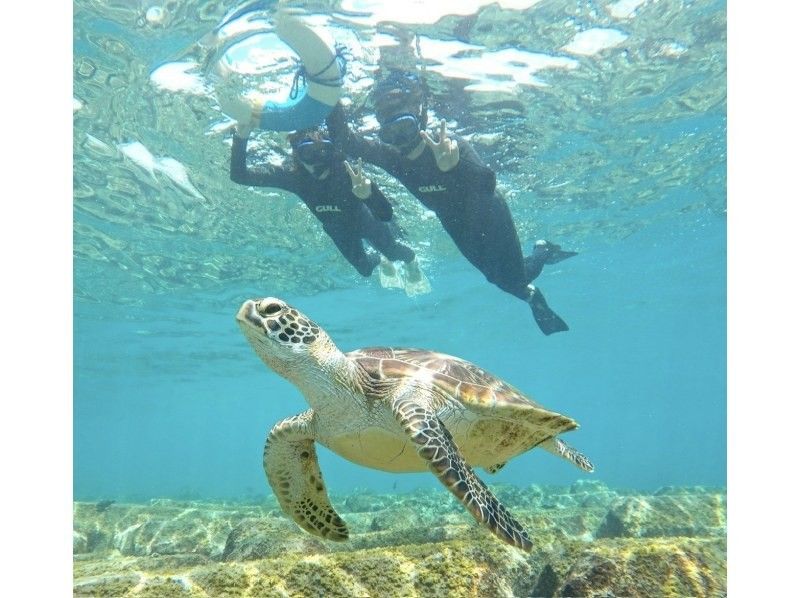 ★宮古島・シギラ内開催★午前！ウミガメと泳ぐシュノーケル★写真データ無料★の紹介画像